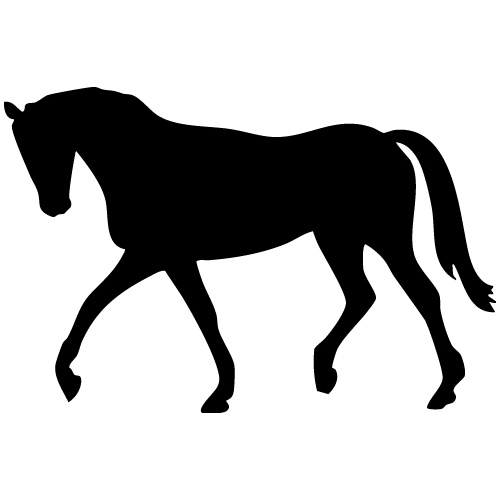 gsb17-s21802_horse_walking_568975084